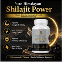 shilajit-tablets-for-men-women-ayurvedic-61fxMa4r-HL.jpg