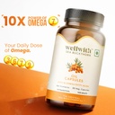 ayuzera-wellwith-by-sea-buckthorn-berry--61duPtq0q1L.jpg