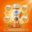 sea-buckthorn-juice-300ml-bottle-for-adu-813FR2ZcRHL.jpg