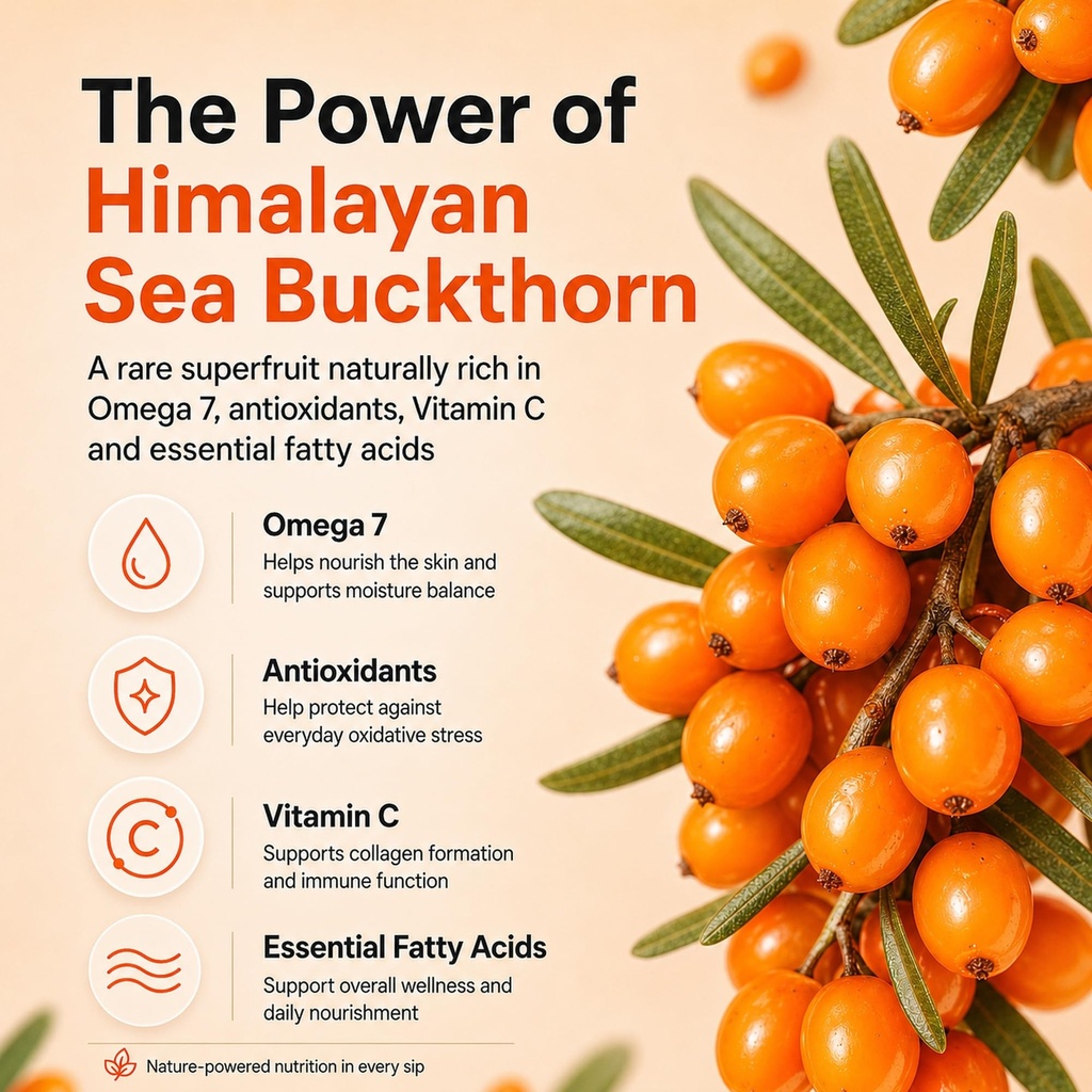 himalayan-sea-buckthorn-elixir-300-ml-co-81yv5TPEP7L.jpg