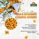 biosash-sea-buckthorn-empower-juice-250m-81EMDmWGqZL.jpg