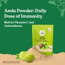 a-tata-product-organic-india-amla-powder-81K7VsSQWKL.jpg