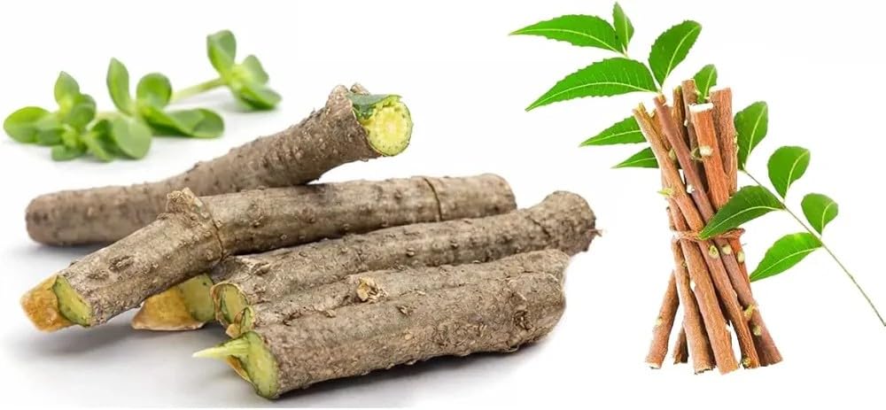 neem-giloy-stick-370-gram-organic-guduch-51nONIlVazL.jpg