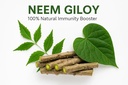 neem-giloy-stick-370-gram-organic-guduch-51M5sJ-HRxL.jpg