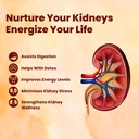 jeena-sikho-ckd-kidney-care-syrup-herbal-811tACdRXUL.jpg