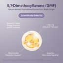 black-ginger-capsules-1400-mg-contains-1-51DdQY9O15L.jpg