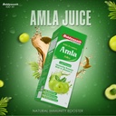 baidyanath-amla-juice-pitta-balancing-im-61zeR-uwTWL.jpg