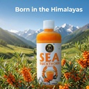 root-shakti-naturals-sea-buckthorn-juice-81a7pvVS4VL.jpg