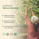 maharishi-ayurveda-organic-triphala-tabl-81bxTDaJp0L.jpg