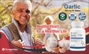trexgenics-garlic-bioactive-3-allicin-50-71WhVAZprAL.jpg