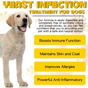 yeast-infection-treatment-for-dogs-dog-e-6.jpg