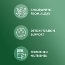 dr-mercola-fermented-chlorella-450-table-61xvjT+YEgL.jpg