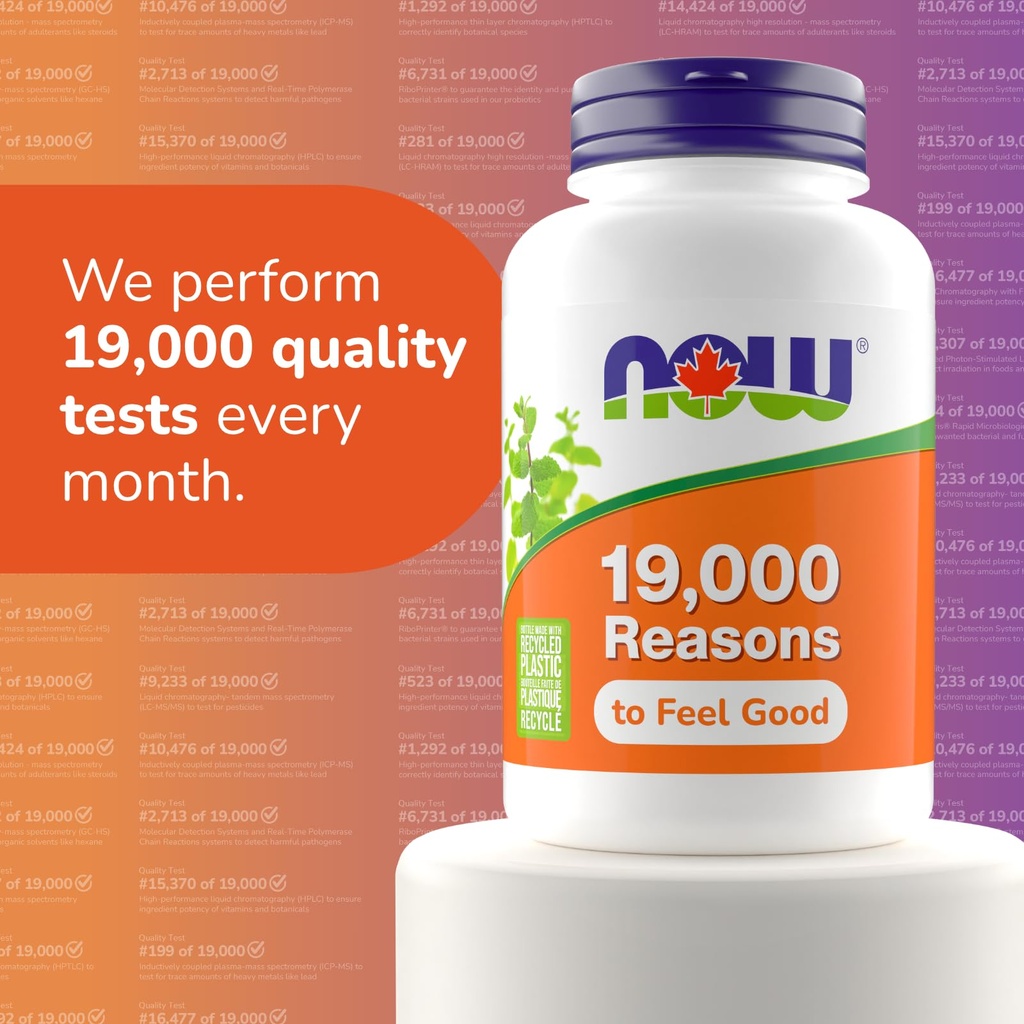 now-foods-panax-ginseng-ext-500mg-100cap-71G-S06HKTL.jpg