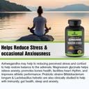 greendorse-premium-shoden-ashwagandha-35-71fKCMsrFkL.jpg