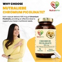 chromium-picolinate-500mcg-magnesium-gly-61uLZLgwgEL.jpg