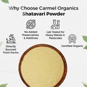 carmel-organics-shatavari-root-powder-34-71Vf0H7TKwL.jpg