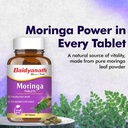 baidyanath-ayurved-moringa-tablets-60-ta-71ZRDRg0kEL.jpg