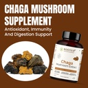 rooted-active-s-organic-chaga-capsules-i-61pqaBLU+vL.jpg