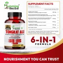 humming-herbs-tongkat-ali-eurycoma-longi-813GEk37AXL.jpg