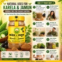 basic-ayurveda-karela-jamun-powder-200g--81LH6HweGrL.jpg