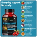 humming-herbs-berberine-supplement-8in1--91Nf5CZ+g5L.jpg