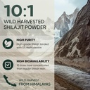 jungle-powders-superfood-bundle-5oz-raw--3.jpg