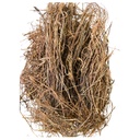 bhumi-amla-raw-125-g-bhui-amla-phyllanth-71sA0U62PiL.jpg