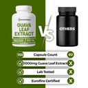 guava-leaf-extract-1000mg-10-1-extra-str-61DfuDkRqgL.jpg