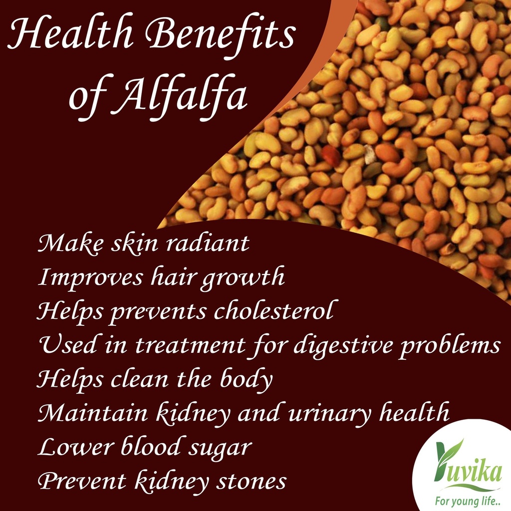 yuvika-herbs-alfa-seeds-100g-alfalfa-med-81fn0phQB4L.jpg