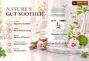 leewell-marshmallow-root-extract-supplem-71EKqDv-q2L.jpg