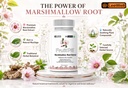 leewell-marshmallow-root-extract-supplem-71W7lhnd9aL.jpg