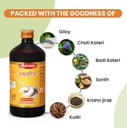 baidyanath-ayurved-amritarishta-450-ml-b-61fhokNi43L.jpg