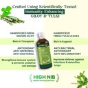 vansaar-45-neem-grown-giloy-tulsi-juice--61y6VqNwkfL.jpg