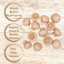 golden-crown-button-mushroom-pack-of-2-818IP+w7VxL.jpg