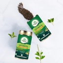 organic-india-tulsi-green-tea-lemon-ging-619zhc83dYL.jpg