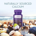 siddhayu-calciactiv-natural-calcium-supp-61nZtXVK8aL.jpg