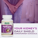 jeena-sikho-gokshuradi-guggulu-ayurvedic-71AC-hRgEmL.jpg