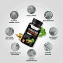 mexmy-panax-ginseng-ginkgo-biloba-supple-71cTX3yTTAL.jpg