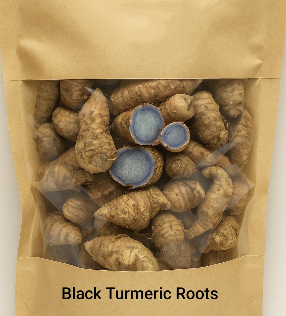 kali-haldi-root-100-gm-black-turmeric-na-61u-pDTjV7L.jpg