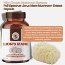 lion-s-mane-mushroom-extract-capsules-50-61Kh7psRCrL.jpg