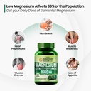 vlado-s-himalayan-organics-biotin-tablet-61qkMVAVKOL.jpg