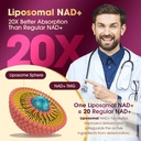 nad-supplement-1100mg-pure-organic-lipos-4.jpg