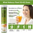 naturyz-100-plant-vitamin-d3-k2-veg-vita-71ypqONfowL.jpg