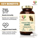 energy-heart-health-support-bundle-vitam-61erNrz8vgL.jpg