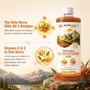 sugar-fit-himalayan-sea-buckthorn-juice--81pOep+xnFL.jpg