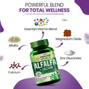 vlado-s-himalayan-organics-alfalfa-calci-710jgeh84SL.jpg