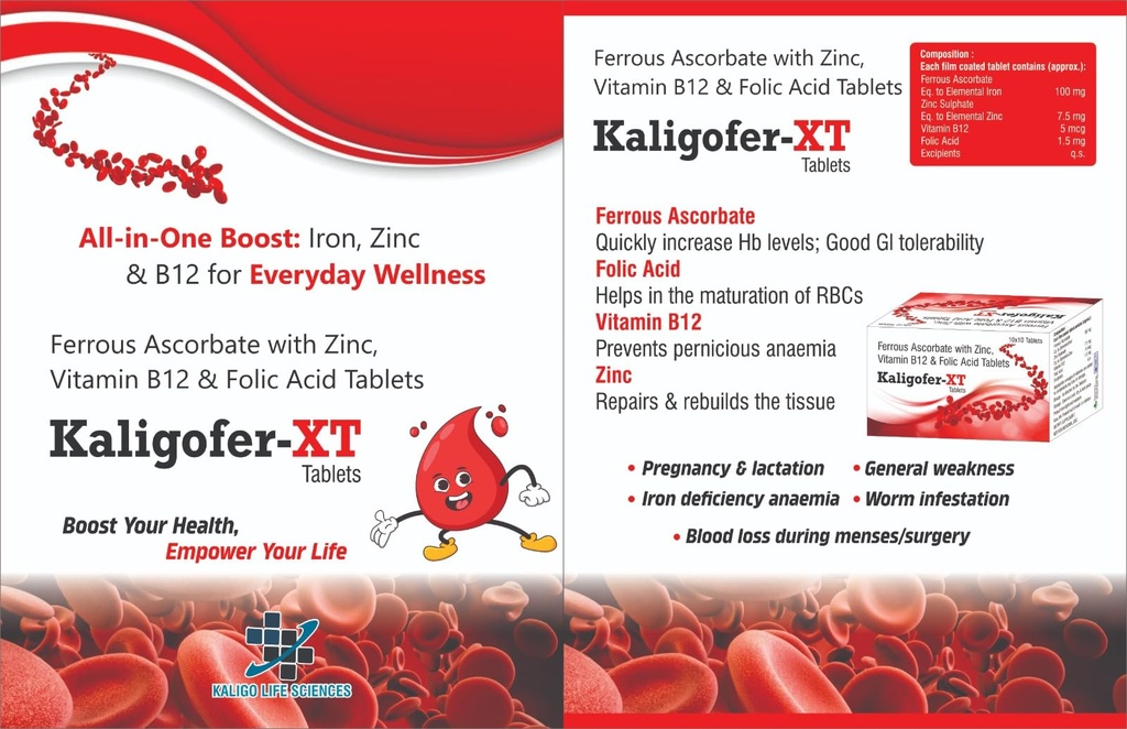 kaligo-kaligofer-xt-ferrous-ascorbate-wi-71RVSRALP0L.jpg