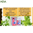 keva-bone-joint-health-tablets-60-tab-wi-61TK5D+AFeL.jpg