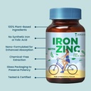 zeroharm-iron-zinc-folic-acid-vitamin-b1-61bBNgPi8bL.jpg
