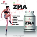 muscle-gears-zma-capsules-zinc-magnesium-61aTIyFDHXL.jpg